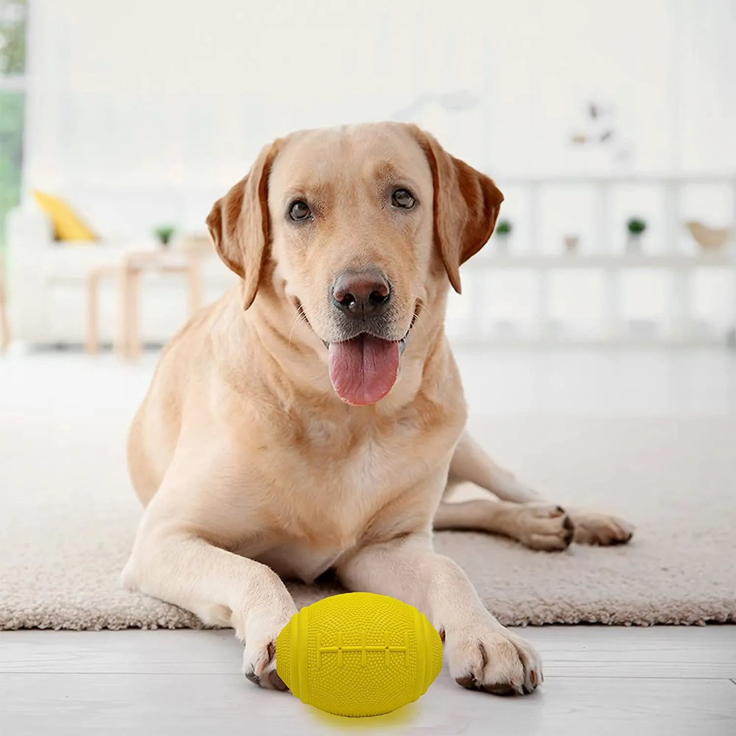 Barkbutler Basics - Just A Fooball
