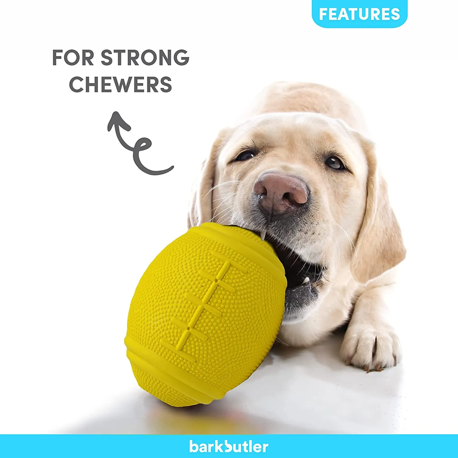 Barkbutler Basics - Just A Fooball