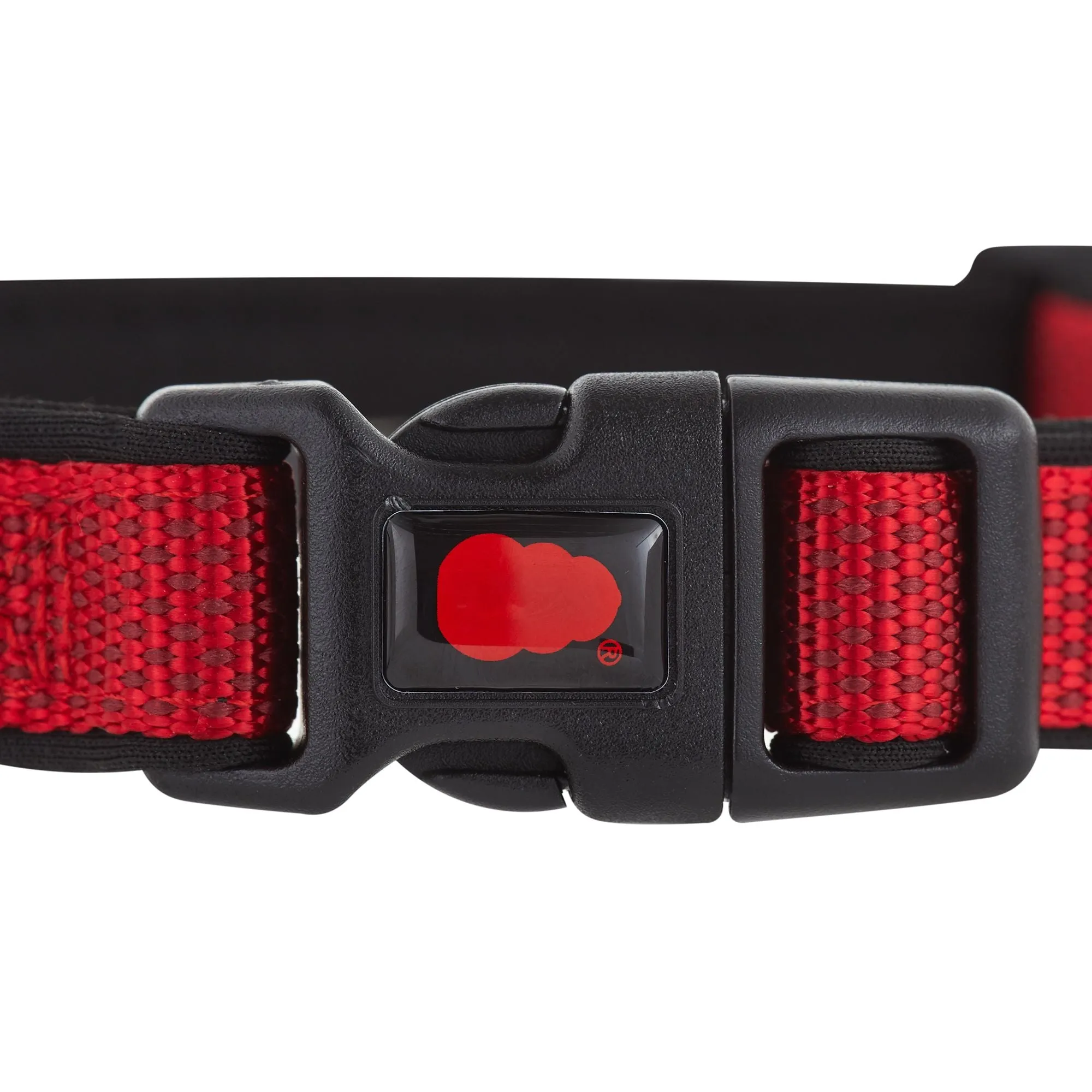 KONG Collars Neoprene Padded Heavy Duty DISCONTINUED Model