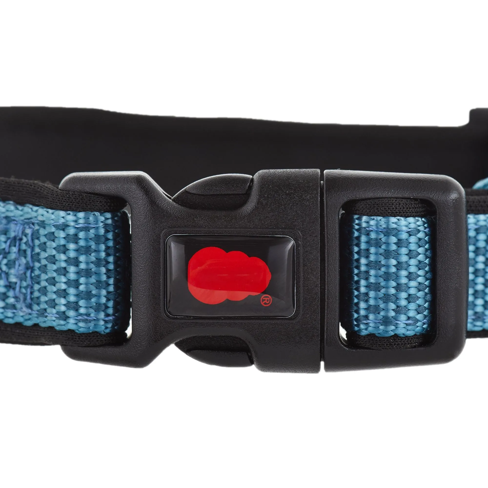 KONG Collars Neoprene Padded Heavy Duty DISCONTINUED Model