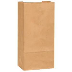 Kraft #10 - 10 Lbs Brown Paper Bag - 2 x 500 Case