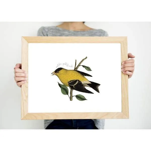 New Jersey state bird | Eastern Goldfinch | Secret Sale