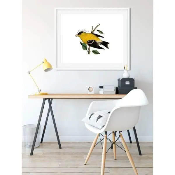 New Jersey state bird | Eastern Goldfinch | Secret Sale