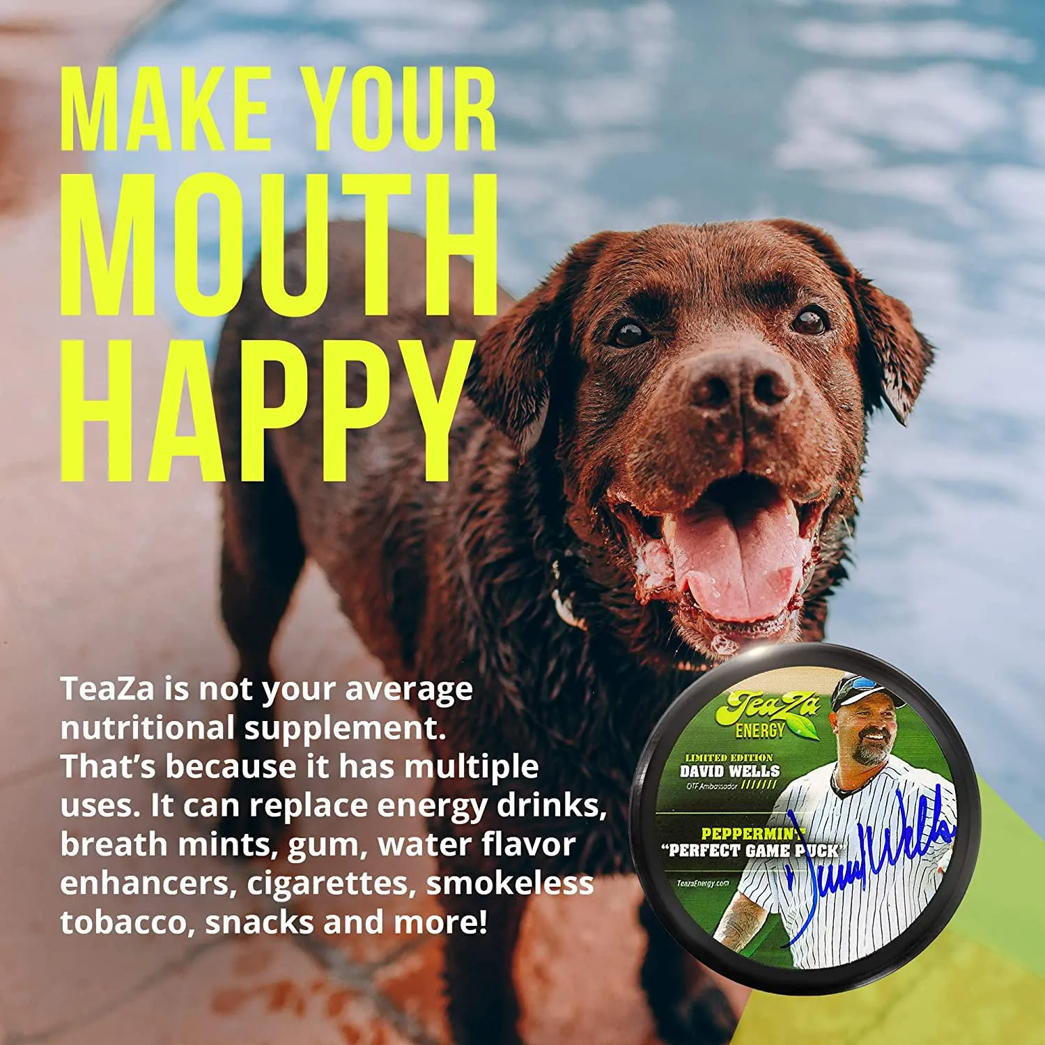 TeaZa Herbal Energy Pouch 4 Peppermint Pucks and Bonus Authentically Signed David Wells Limited Edition Peppermint Puck - Nicotine and Caffeine Free Energy Boost Dip Pouches