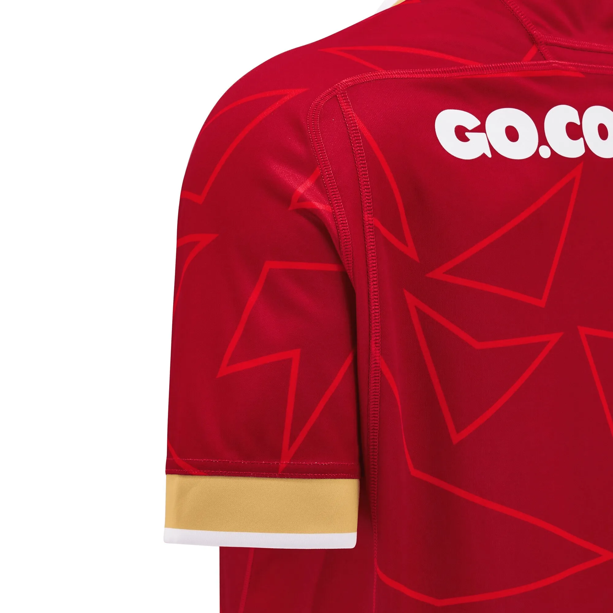Wales 24/25 Pathway Home Jersey by Macron